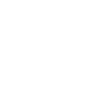 Asset Assessment Icon