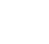 Asset Assessment Icon