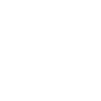 Asset Assessment Icon