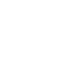 Asset Assessment Icon