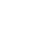 Asset Assessment Icon