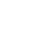 Asset Assessment Icon