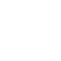Asset Assessment Icon